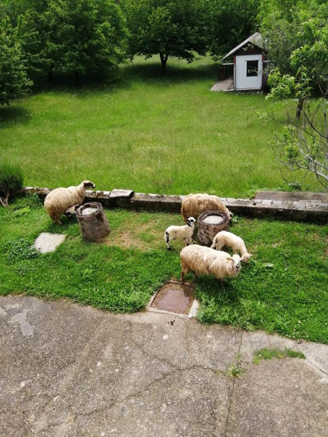 Apartman Duba Senj  Luaran gambar